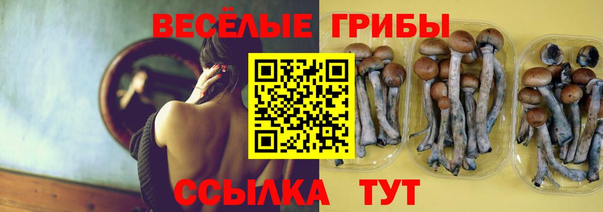 Галлюциногенные грибы MAGIC MUSHROOMS  Вход с VPN  Будённовск 